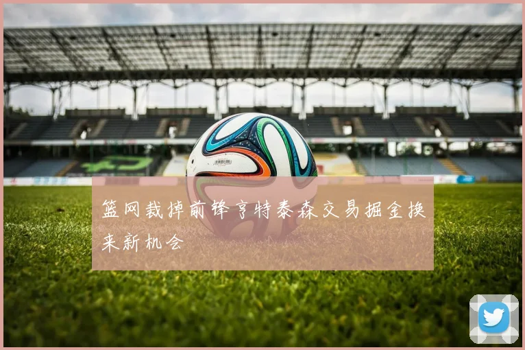 篮网裁掉前锋亨特泰森交易掘金换来新机会